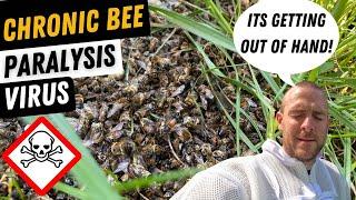 Chronic Bee Paralysis Virus. Is It On The Rise!? CBPV Virus