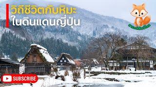 สารคดีสัตว์โลก ซาโตะยามะ นีงาตะ ตอน วิถีชีวิตกับหิมะในญี่ปุ่น | สารคดีความรู้ สารคดีปลา ทำนาข้าว