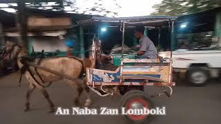 Cidomo/becak Lombok #delman #hiburan