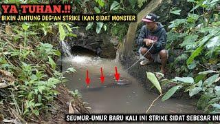 YAKIN KUAT.!! MANCING SIDAT MONSTER DI GORONG GORONG || STRIKE IKAN LELE DAN IKAN BAWAL BRO