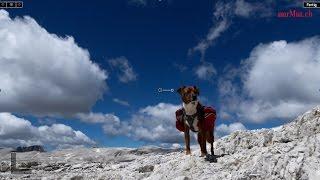 München-Venedig zu Fuss mit Hund - der Film