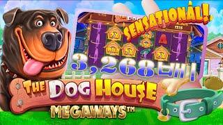 [슬롯][프라그마틱] 더 도그하우스 메가웨이즈 : THE DOG HOUSE MEGAWAYS 3,268배