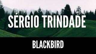 Sérgio Trindade - Blackbird (The Beatles)