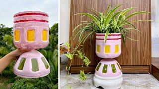 Discover the perfect plant for your home, simple ways to recycle plastic bottles