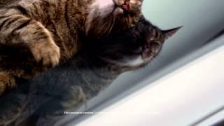 Mercedes-Benz: CLA TV commercial Cat