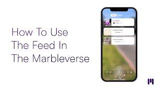 How To Use The Feed In The Marbleverse