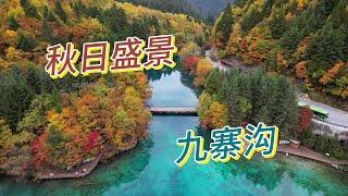 赏华夏山河最美秋色，国家地理推荐，一生必去之地四川九寨沟 #治愈系风景 #九寨沟 #属于秋天的颜色