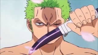 Zoro vs Wano Samurais {HD}