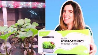 LetPot Hydroponic Review! Growing Strawberries using LetPot!