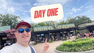 Florida Vlog Day One | Walt Disney World | Animal Kingdom & Dreams That Soar Drone Show | June 2024