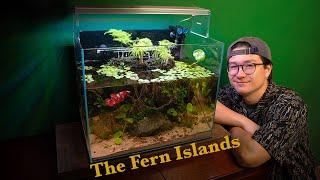 Making a Fern Island Paludarium for my Koi Betta