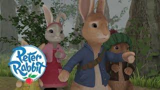 Peter Rabbit - The Disaster Trilogy | Cartoons for Kids