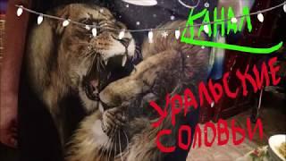 Как Уральские Соловьи 2020 год встречали//Семейная жизнь.