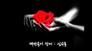 심수봉   백만송이
