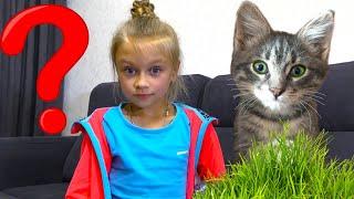 Ест ли кот траву? Подарки для Котенка и новый блохастый питомец | Видео для детей
