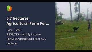 6.7 hectares Agricultural Farm For Sale in Barili Cebu