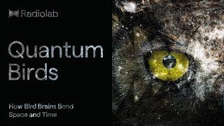 Quantum Birds | Radiolab Podcast