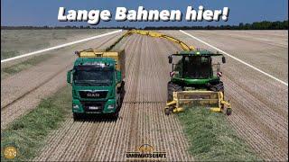 Lange Bahnen hier! 352ha Roggen mähen & Häckseln Grünlandernte in der Landwirtschaft John Deere