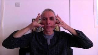 Cleaning Pineal Gland - Exercise shown at Drunvalo Melchizedek workshop by Daniel Mitel