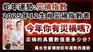 蛇年災禍︱2025年12生肖災禍指數表︱十二生肖今年你有災禍嗎？︱子平八字算命︱犯太歲、人緣運、財運、事業運、姻緣運解說《#徐墨齋七星堂︱第35集》八字︱八字算命︱FMTV