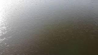 Шикарный водоём у нас в деревне Ледово.