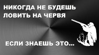 ПОДГОТОВЬСЯ К РЫБАЛКЕ КАК Я СОВЕТУЮ! НУЖНЫ ЧЕРВИ? SeMano TV