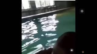 Fat guy cries after going underwater meme