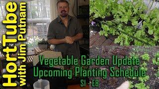 Vegetable Garden Update - Planting Schedule - S1 - E8