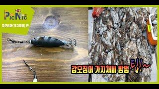 [피크닉 TV] 갑오징어 가지채비 방법