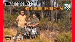 TIRADA DE PALOMAS 2024 | FINCA LOS BOQUERONES | HUNTING PIGEONS