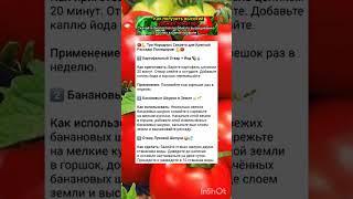 дачные хитрости на заметку.