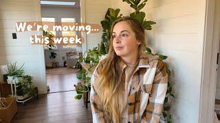 We're moving this week, life is crazy!