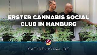 Erster Cannabis Social Club in Hamburg genehmigt