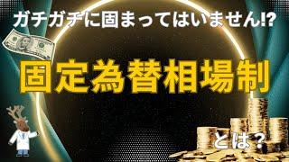 ガチガチに固まってはいません!?「固定為替相場制 」とは？～入門編～