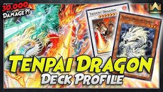 Tenpai Dragon Deck Profile | POST LEGACY OF DESTRUCTION |  April 2024 | Yu-Gi-Oh!