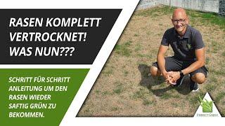 Rasen vertrocknet durch Hitzewelle | Anleitung zur Nachsaat | Schritt für Schritt Regeneration