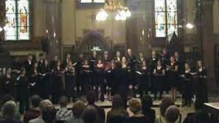 VU-Kamerkoor: Eric Whitacre - i thank you god