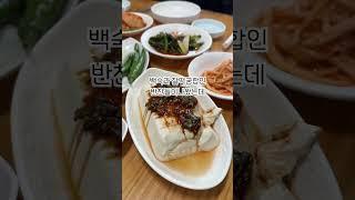 제주 표선 실패없는 맛집 도민들만 가는 닭백숙