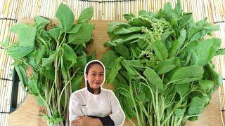 Kitchen Tips !! For Your Thai Herbs • Sweet Basil & Holy Basil | ThaiChef food