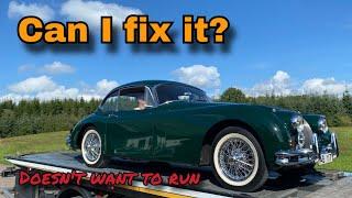 This Jaguar XK150 Doesn't Always Want to Start... Let's fix it!
