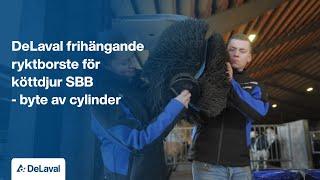 DeLaval swinging beef brush SBB - change of cylinder