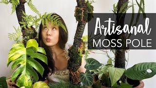 DIY Artistic & Natural Moss Pole your plants deserve: FULL TUTORIAL
