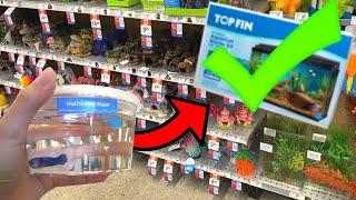 What Items TO BUY For BETTA FISH TANK!