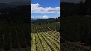 My 2 day trip to Oregon in 60 seconds! #mtb #spring #oregon #mthood #roadtrip