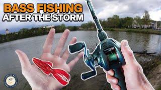 THE ONLY BASS FISHING TIP YOU'LL EVER NEED?