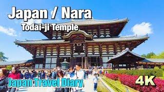 [4K] Travel Diary to "Todaiji Temple" in Nara | Japan BGM ver.