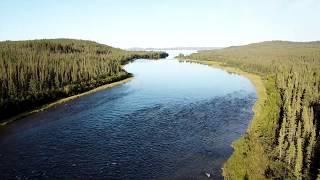 An Evening in the Stark River | Arctic Grayling Fishing at Frontier Fishing Lodge