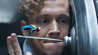 Man Trains A Fly To Steal $500 Million From World's Safest Bank