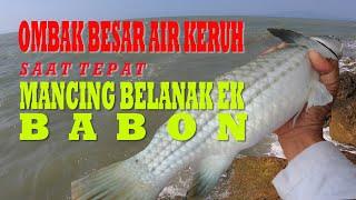 Cara Mudah Strike Mancing Belanak Ekor Kuning Saat Ombak Besar & Air Keruh