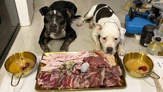 O&n The Pit Bulls eat RAW FOOD หมากินดิบ [ASMR]MUKBANG[咀嚼音] อาหารสุนัขที่ดีที่สุด EP.080 of 2024